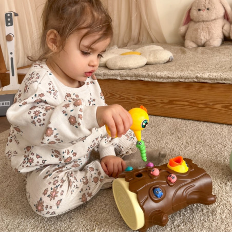 WOOPIE magnetinis arkadinis žaidimas sugauti klaidą 2 geniai + 10 klaidų