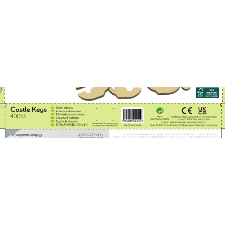 CLASSIC WORLD Montessori sensoriniai mediniai dėlionės raktai ir spynos