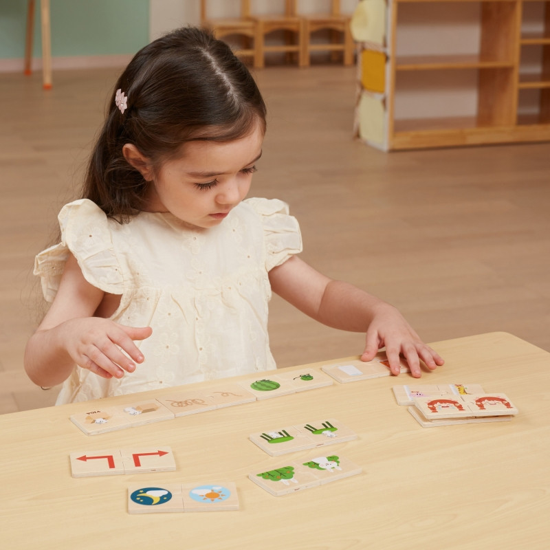 VIGA medinės dėlionės priešingybės