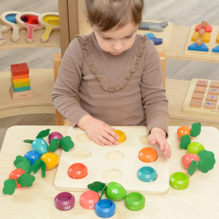 MASTERKIDZ Edukacinė taryba Daržovių mokymosi skaičiai ir spalvos Montessori