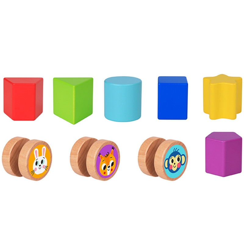 TOOKY TOY mokomasis kubų rūšiavimo įrenginys Labirintas susipynę gyvūnai