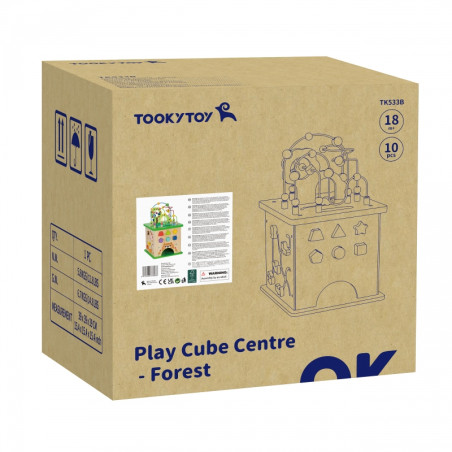 TOOKY TOY Развивающий кубик-сортировщик Лабиринт Переплетающиеся животные