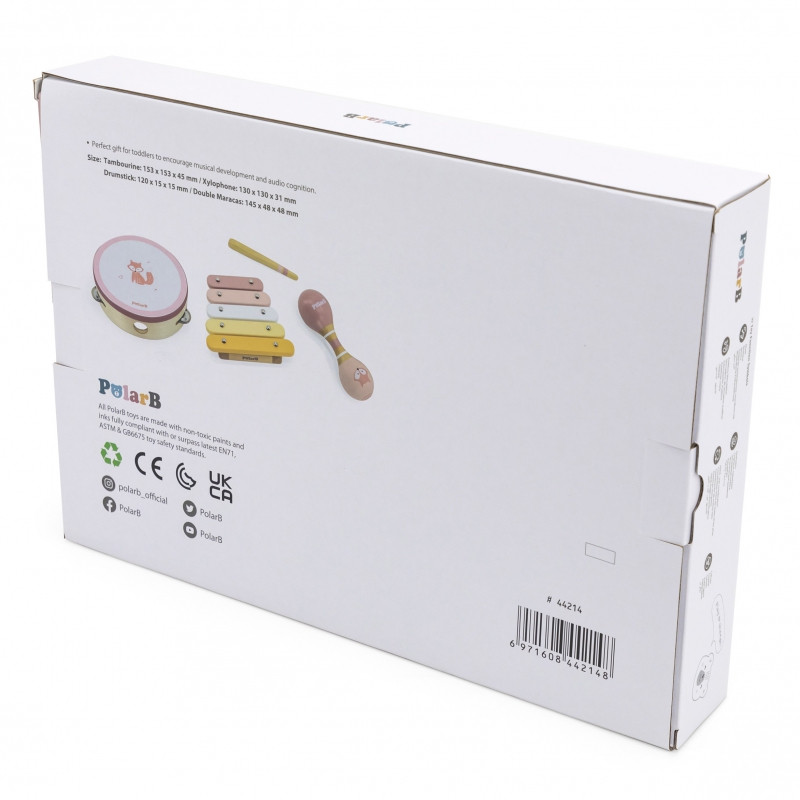 Набор музыкальных инструментов VIGA PolarB, розовый