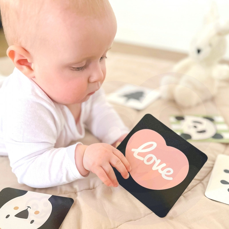 CLASSIC WORLD Pastel Baby Box Первые игрушки для детей от 0 до 6 месяцев