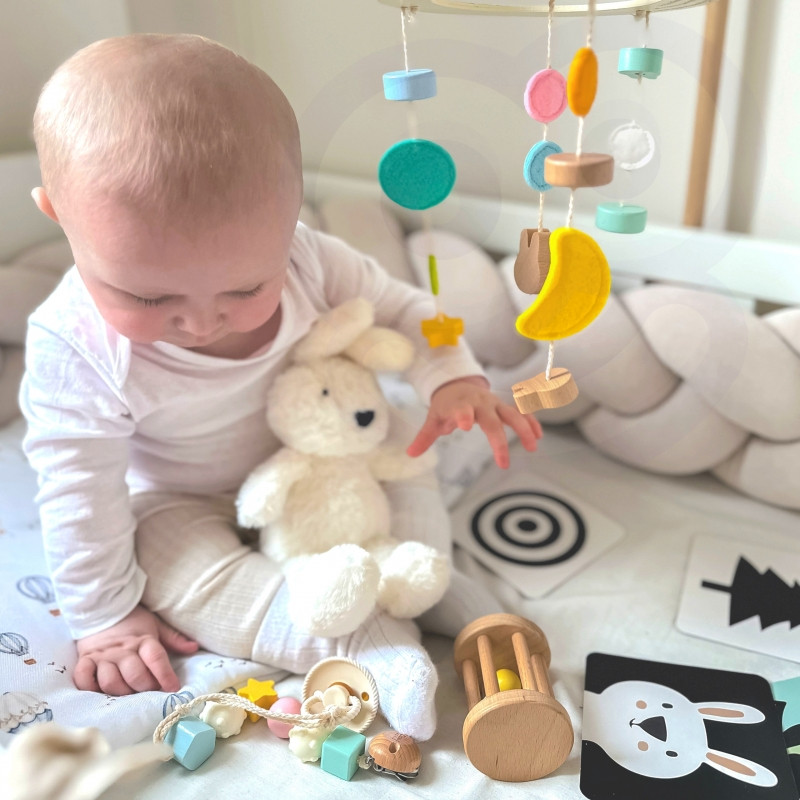 CLASSIC WORLD Pastel Baby Box Первые игрушки для детей от 0 до 6 месяцев