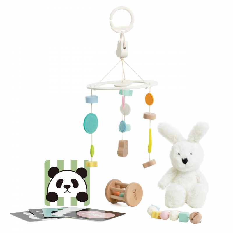 CLASSIC WORLD Pastel Baby Box Первые игрушки для детей от 0 до 6 месяцев