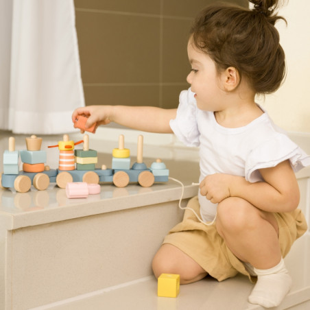 KLASIKINIS PASAULIS Montessori vandenyno geležinkelio medinė dėlionė