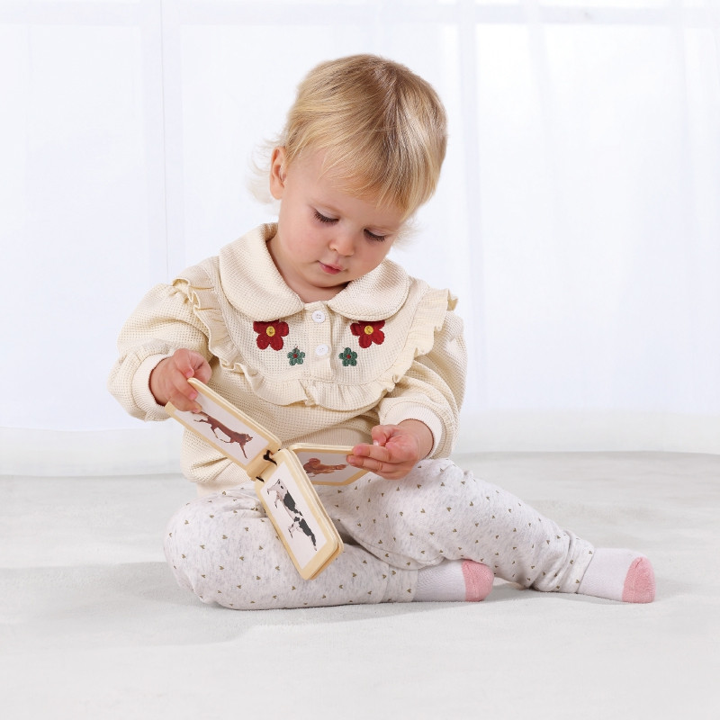 TOOKY TOY Box XXL Montessori Educational Box 6in1 Sensory 7-8 mėn.