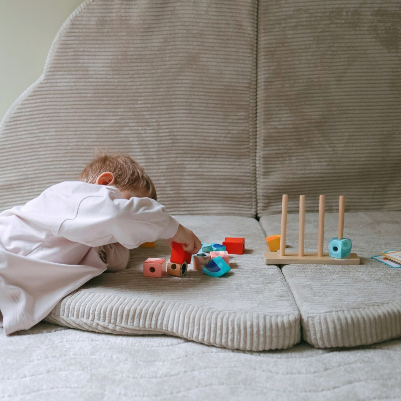 TOOKY TOY Kūrybiniai Mediniai Erdviniai Kaladėlės 3D Krabas