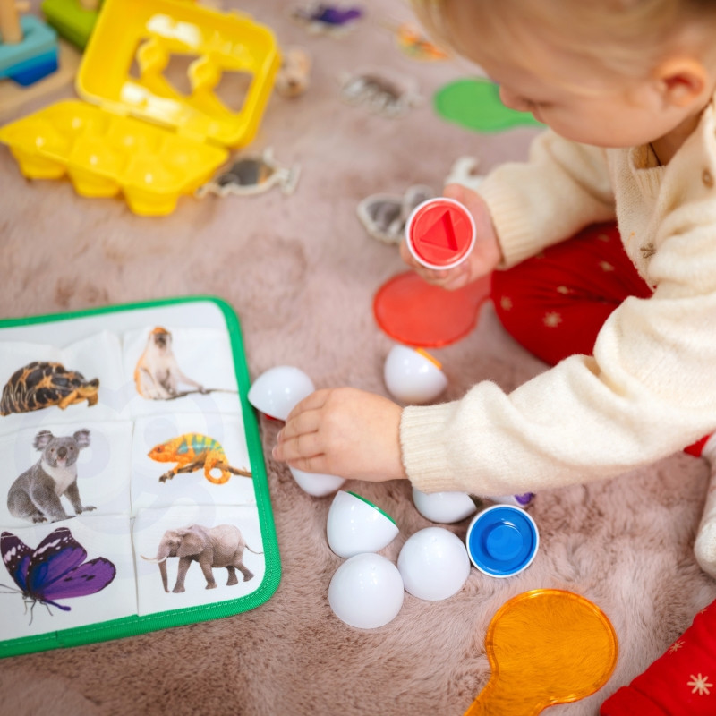 TOOKY TOY Box XXL Montessori Educational Box 7in1 Sensory 25-30 mėnesių