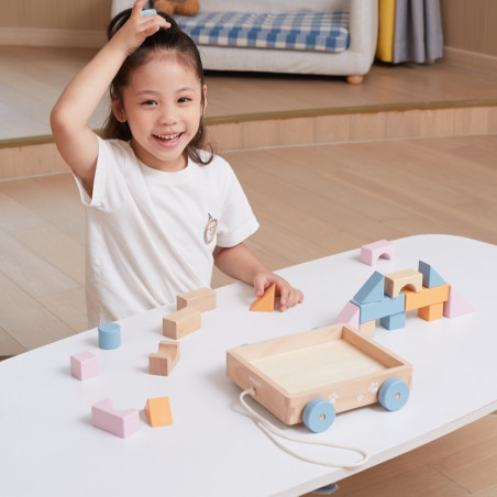 VIGA PolarB Medinis traukiamasis vežimėlis + kaladėlės 21 vnt.