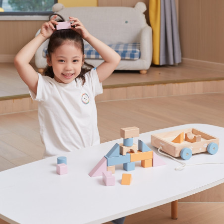 VIGA PolarB Medinis traukiamasis vežimėlis + kaladėlės 21 vnt.