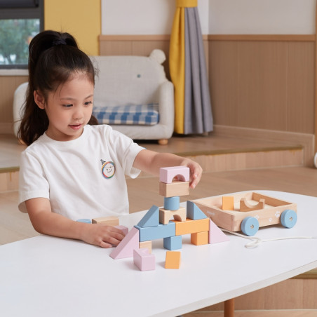 VIGA PolarB Medinis traukiamasis vežimėlis + kaladėlės 21 vnt.