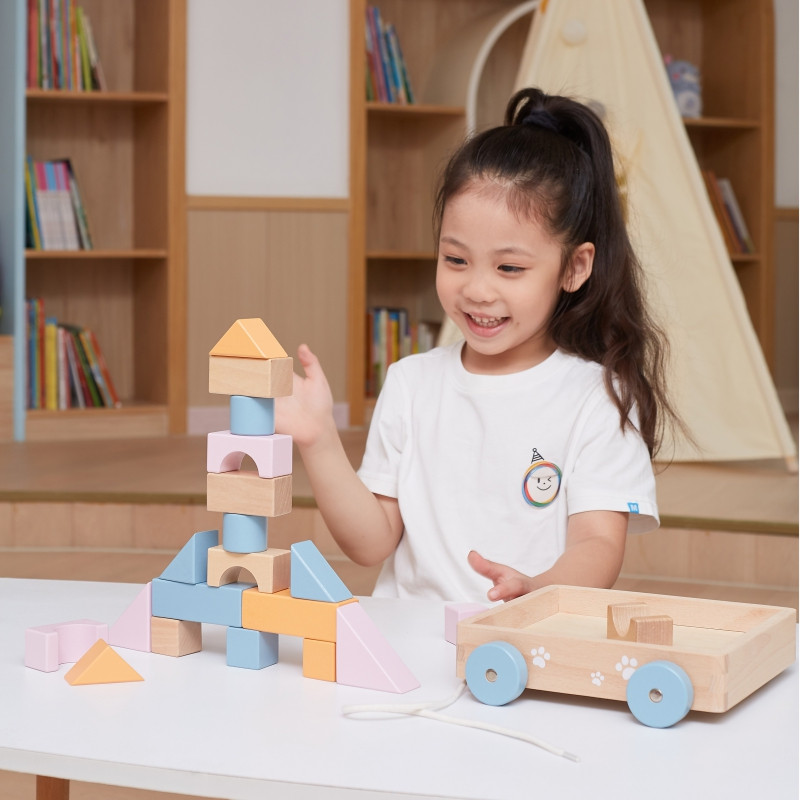 VIGA PolarB Medinis traukiamasis vežimėlis + kaladėlės 21 vnt.