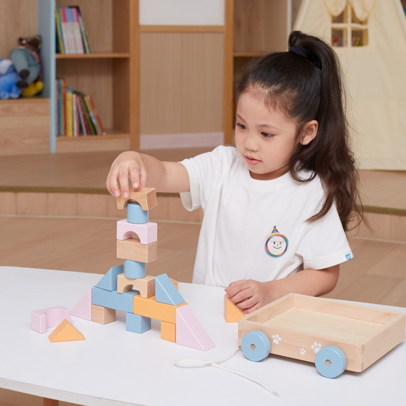 VIGA PolarB Medinis traukiamasis vežimėlis + kaladėlės 21 vnt.