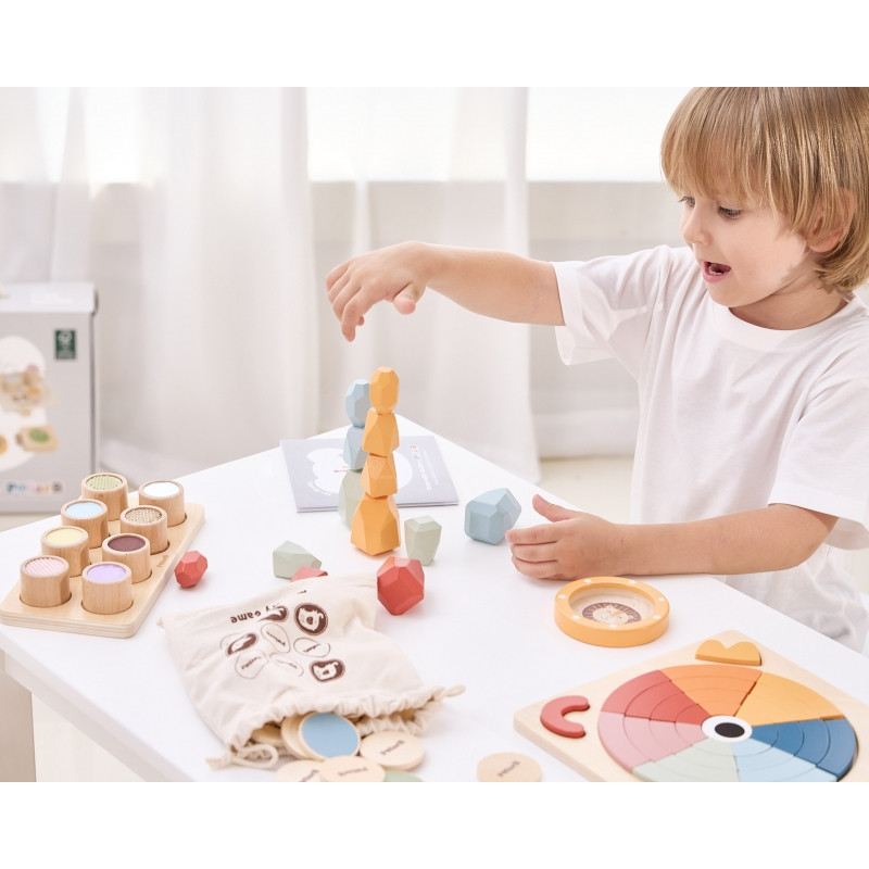 Набор развивающих игрушек VIGA для детей от 36 месяцев