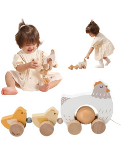 VIGA PolarB medinis traukinukas Višta su viščiukais