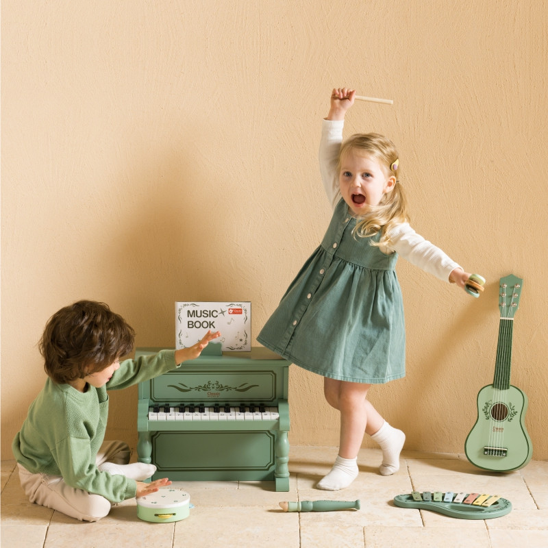 CLASSIC WORLD Medinių senovinių muzikos instrumentų rinkinys 18ms+