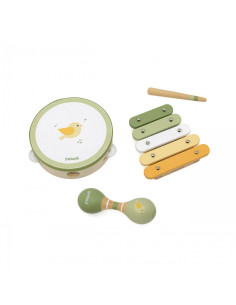 VIGA PolarB muzikos instrumentų rinkinys