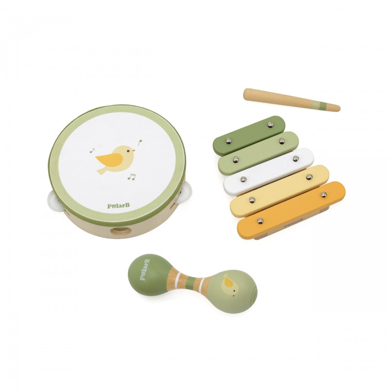 VIGA PolarB muzikos instrumentų rinkinys su paukščiu