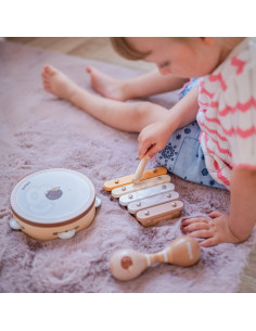 VIGA PolarB muzikos instrumentų rinkinys 2