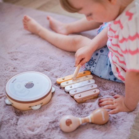VIGA PolarB muzikos instrumentų rinkinys su paukščiu VIGA PolarB muzikos instrumentų rinkinys su paukščiu