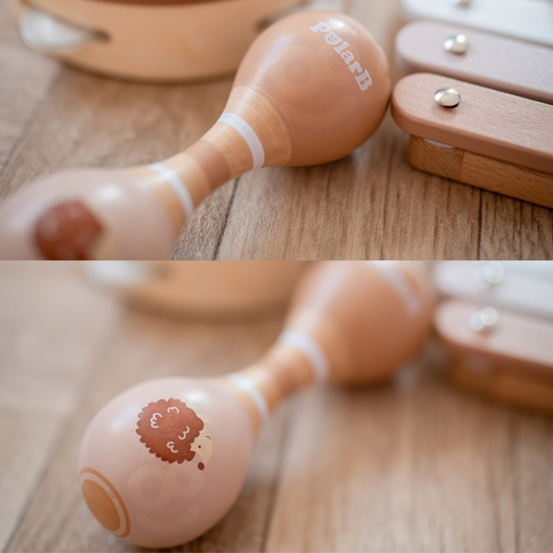 VIGA PolarB muzikos instrumentų rinkinys su paukščiu