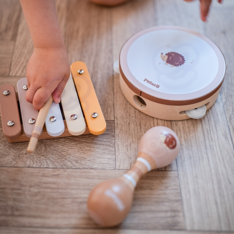 VIGA PolarB muzikos instrumentų rinkinys su paukščiu