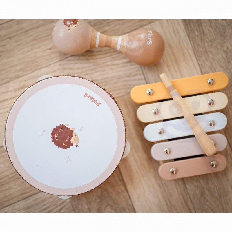 VIGA PolarB muzikos instrumentų rinkinys su paukščiu