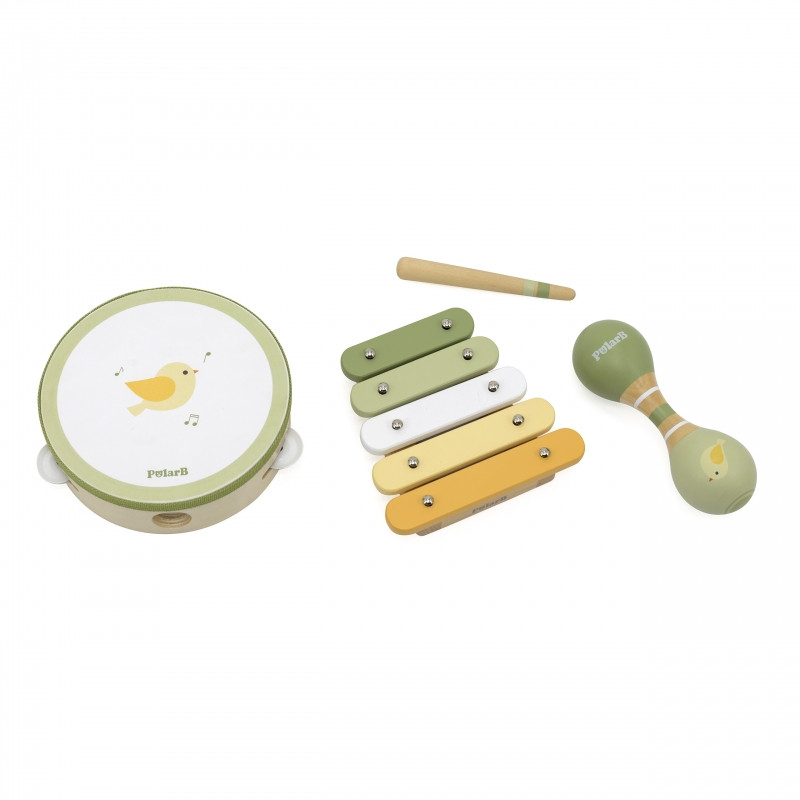 VIGA PolarB muzikos instrumentų rinkinys