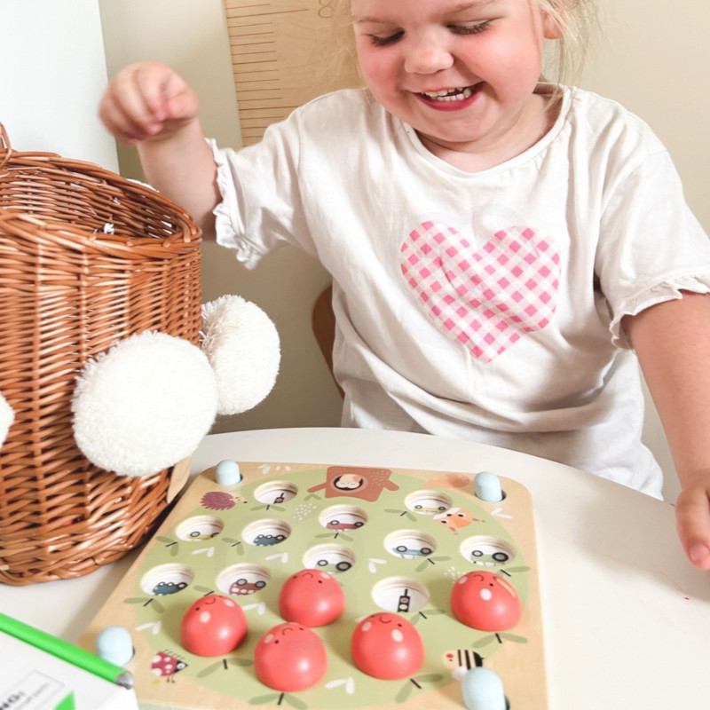 TOOKY TOY atminties obuolių atminties žaidimas