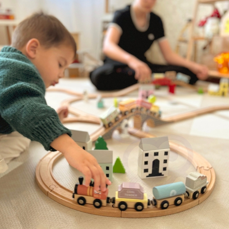 TOOKY TOY mediniai transporto priemonių vežimėliai su magnetu