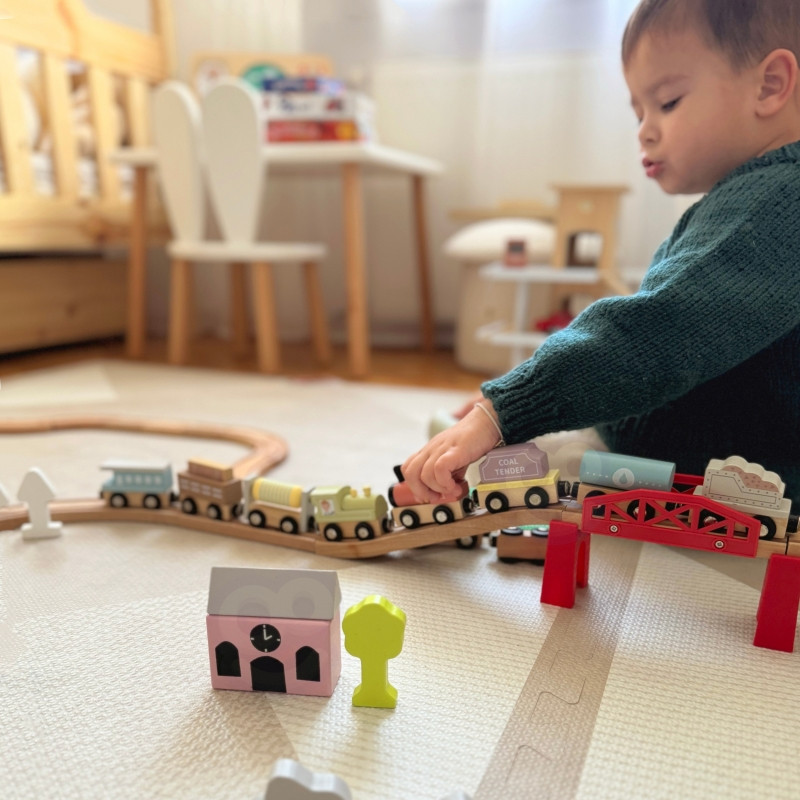 TOOKY TOY mediniai transporto priemonių vežimėliai su magnetu