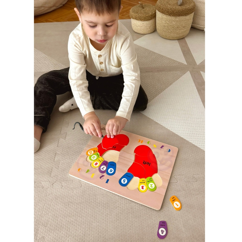 TOOKY TOY mokomoji medinė pėdų dėlionė: mokymasis, skaičiavimas ir spalvos