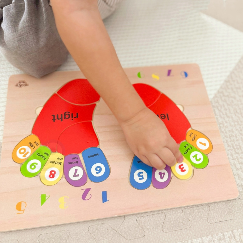 TOOKY TOY mokomoji medinė pėdų dėlionė: mokymasis, skaičiavimas ir spalvos