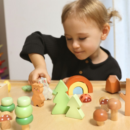 TOOKY TOY miško dėlionės rinkinys sukrauti blokai skaičiai TOOKY TOY miško dėlionės rinkinys sukrauti blokai skaičiai