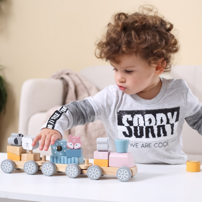 VIGA PolarB medinis traukinys su vagonais ir Montessori gyvūnais