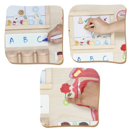 MASTERKIDZ Montessori uoslės edukacinė taryba MASTERKIDZ Montessori uoslės edukacinė taryba