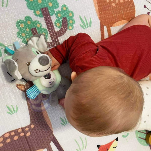 WOOPIE BABY Interaktyvus pliušinis žaislas - migdukas, kūdikiams WOOPIE BABY Interaktyvus pliušinis žaislas - migdukas, kūdikiams