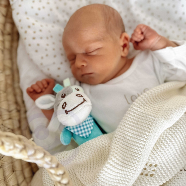 WOOPIE BABY Pliušinis jutiminis žaislas-žaisliukas WOOPIE BABY Pliušinis jutiminis žaislas-žaisliukas