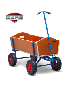 Детская пляжная коляска BERG XL