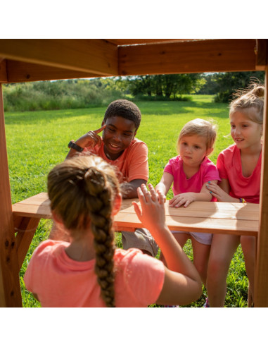 BACKYARD DISCOVERY Belmont Wooden Playground 6-in-1