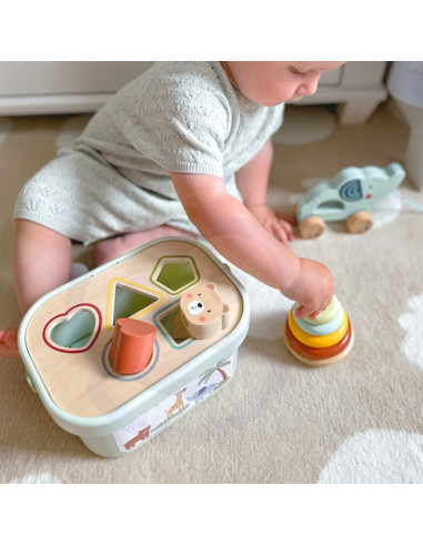 WOOPIE GREEN Pudełko Sorter Box 3w1 Klocki Piramidka Słonik FSC