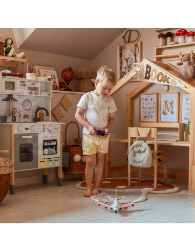 Woopie Interaktyvus žaislinis lėktuvas valdomas pultu