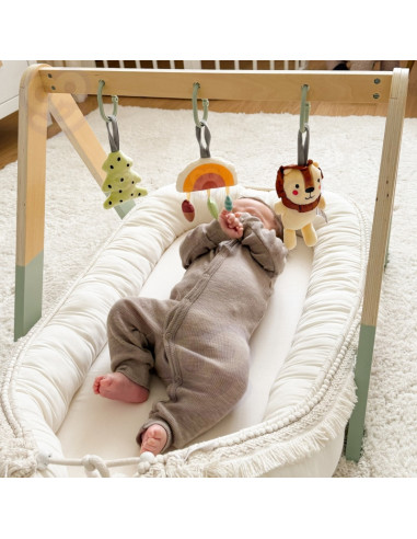 TOOKY TOY Baby Gym Educational Gymnastic Stand with 3 Hangers