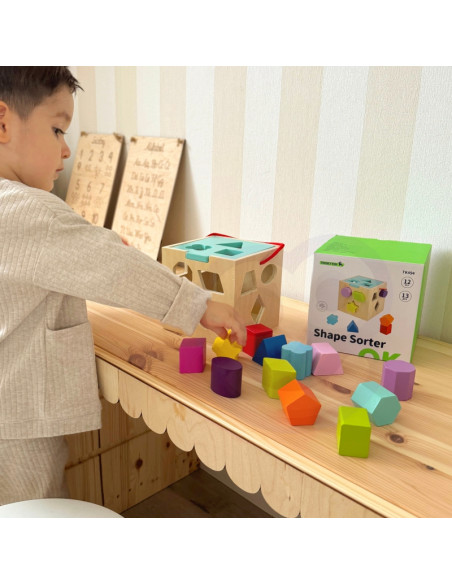 TOOKY TOY Деревянный сортер-кубик цветной с цветными узорами 13 шт.