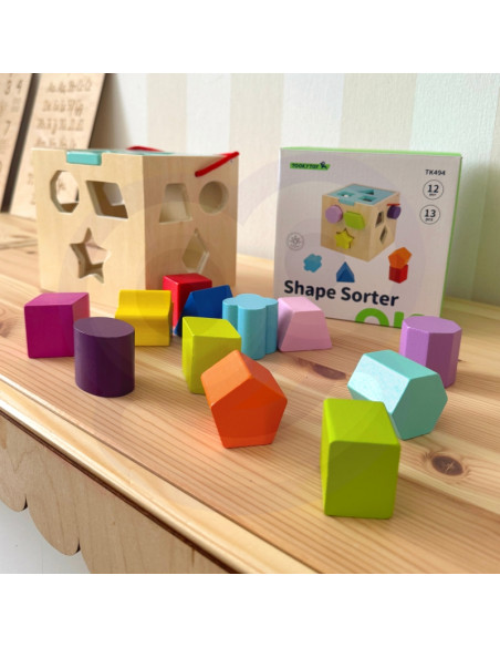 TOOKY TOY Деревянный сортер-кубик цветной с цветными узорами 13 шт.