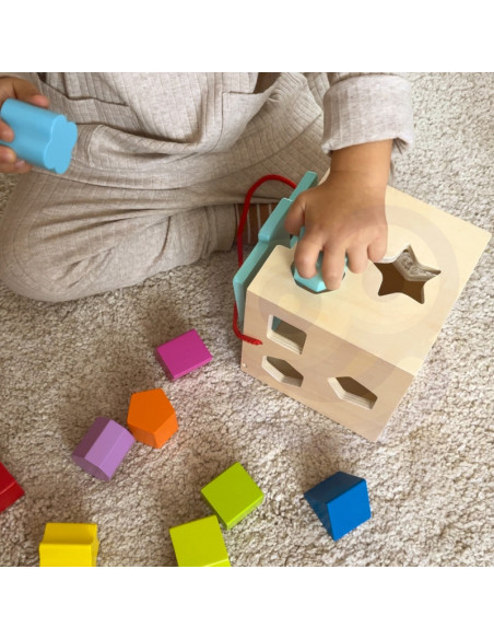 TOOKY TOY medinis rūšiavimo kubas su spalvotais raštais, 13 el.