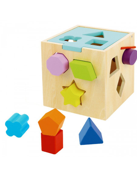 TOOKY TOY medinis rūšiavimo kubas su spalvotais raštais, 13 el.