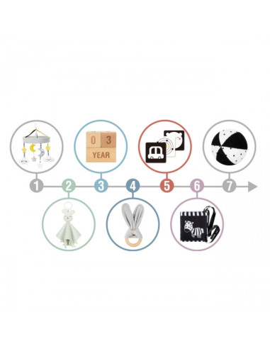 WOOPIE GREEN XXL Montessori sensorinė ir edukacinė dėžutė 7in1 FSC